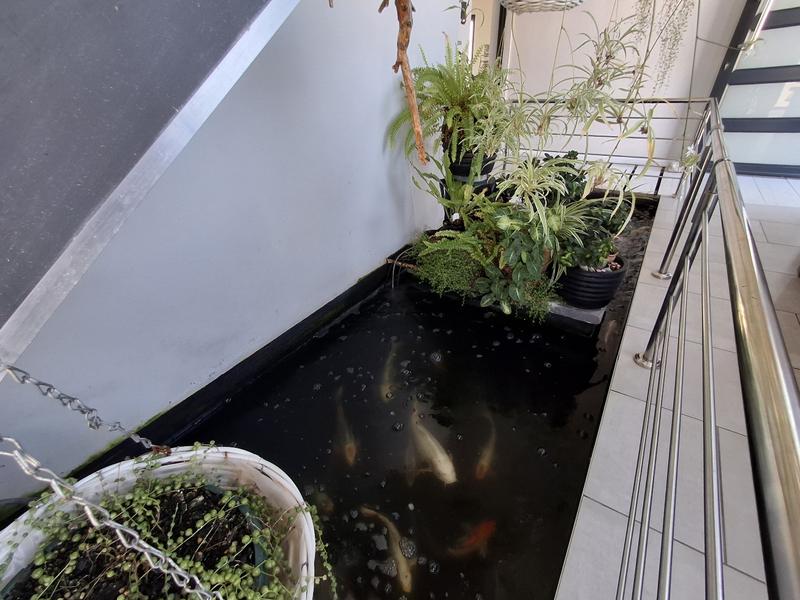 5 Bedroom Property for Sale in Sandy Point Western Cape